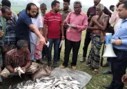 বরিশালে জাটকা পরিবহন করায় ১৫ জনকে জরিমানা