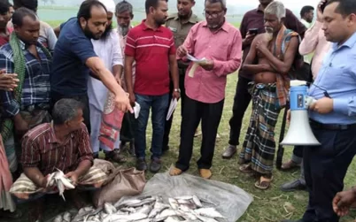 বরিশালে জাটকা পরিবহন করায় ১৫ জনকে জরিমানা