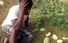 তরমুজের সঙ্গে শত্রুতা, লাখ টাকার ক্ষতি