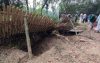 কবরস্থান থেকে কঙ্কাল চুরি, প্রত্যক্ষদর্শীর রোমহর্ষক বর্ণনা