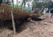 কবরস্থান থেকে কঙ্কাল চুরি, প্রত্যক্ষদর্শীর রোমহর্ষক বর্ণনা