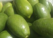 রোজা শুরুর আগেই লেবু-বেগুনের দাম চড়া
