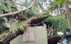 পিরোজপুরে ঘূর্ণিঝড়ে লন্ডভন্ড শত শত বাড়িঘর, একজনের মৃত্যু