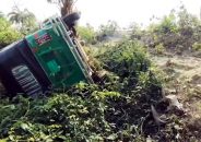 কলাপাড়ায় অটোরিকশা খাদে পড়ে দুইজন নিহত