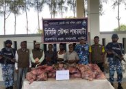 বরগুনায় ২০০ কেজি হরিণের মাংসসহ আটক ৩