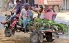 আবারও ৪০ ডিগ্রি পার হলো চুয়াডাঙ্গার তাপমাত্রা, জনজীবন অতিষ্ঠ