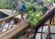 রেমালের তাণ্ডবে দেড় লাখ ঘরবাড়ি বিধ্বস্ত