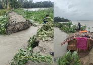 বরিশালে ৯৩ হাজারের বেশি পুকুর-দিঘী-ঘের ক্ষতিগ্রস্ত