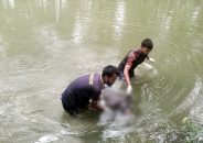 গৌরনদীতে পুকুরে মিলল রাজমিস্ত্রির মরদেহ