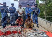 পাথরঘাটায় ৪২ মণ মাছসহ আটক ১৩