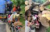 চুয়াডাঙ্গায় দুই আলমসাধুর মুখোমুখি সংঘর্ষে নিহত ১