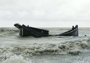 ঘূর্ণিঝড় দানা: শিশুসহ প্রাণ গেছে দুজনের