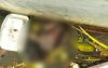 বরিশালের কীর্তনখোলা নদী থেকে শিশুর লাশ উদ্ধার