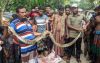 পাথরঘাটায় জালে পেঁচানো অজগর সাপ উদ্ধার