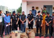 লাহারহাট ফেরিঘাটে বিলুপ্ত প্রজাতির ২২২ কচ্ছপ উদ্ধার