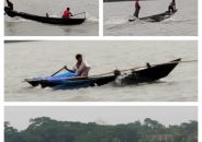 বাকেরগঞ্জে নিষেধাজ্ঞা অমান্য করে অবাধে ইলিশ শিকার, প্রকাশ্যে বিক্রি