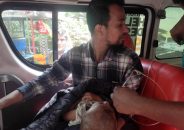 গাজীপুরে ট্রেনের নিচে ঝাঁপ দিয়ে মা-মেয়ের মৃত্যু