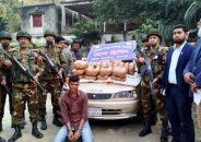 চাঁদপুরে ১ মণ গাঁজাসহ কারবারি আটক