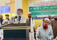 এদেশ কোনো দলকে ইজারা দেওয়া হয়নি: ধর্ম উপদেষ্টা