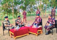 জীবননগর সীমান্তে বিজিবি-বিএসএফ ব্যাটালিয়ন কমান্ডার পর্যায়ে সৌজন্য সাক্ষাৎ