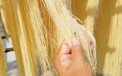 অপরিচ্ছন্ন পরিবেশে সেমাই তৈরি, চুয়াডাঙ্গার হক ব্রাদার্সকে জরিমানা