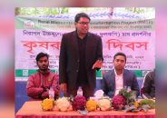 এফডিএ’র আয়োজনে রঙ্গিন ফুলকপির মাঠ দিবস