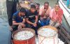 বরিশালে জাটকা অভিযানে হামলা, আটক ৫