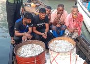 বরিশালে জাটকা অভিযানে হামলা, আটক ৫