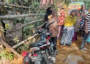 বরিশালে কাভার্ডভ্যান চাপায় ছাত্রদল নেতার স্ত্রী নিহত