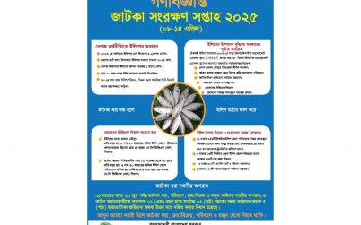 জাটকা সংরক্ষণ সপ্তাহ ২০২৫  (০৮-১৪ এপ্রিল)
