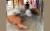 মনপুরায় বজ্রপাতে এক কৃষকের চার গরুসহ আট গরুর মৃত্যু