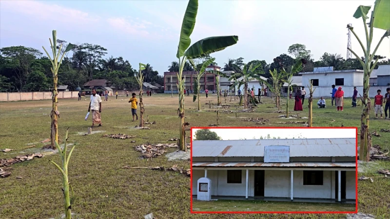 বিদ্যালয়ের মাঠ দখল করে কলা গাছ রোপণ, থানায় অভিযোগ