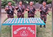 জীবননগর সীমান্তে বিজিবির অভিযান, ভারতীয় ওষুধ ও মাদক উদ্ধার