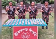 জীবননগর সীমান্তে বিজিবির অভিযান, ভারতীয় ওষুধ ও মাদক উদ্ধার