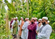 মেহেন্দিগঞ্জে শহীদ পরিবারের পাশে ঈদ উপহার নিয়ে জামায়াত