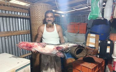 ভোলায় জেলেদের জালে ধরা পড়া ১৩ কেজির আইড় মাছ, ১৮ হাজারে বিক্রি!