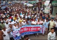 চরফ্যাসনে বিএনপির মিছিল ও প্রতিবাদ সভা