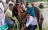 শতাধিক বাবুই পাখির ছানা হত্যার স্থানে তাল গাছের চারা রোপণ