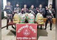 জীবননগর সীমান্তে ভারতীয় চিংড়ি মাছের পোনা জব্দ