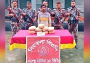 দর্শনায় ৯ কেজি ভারতীয় গাঁজাসহ আটক ১
