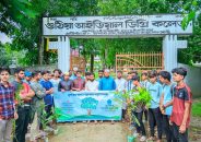 গুঠিয়ায় বৃক্ষরোপণ কর্মসূচি পালন করলো ছাত্রশিবির