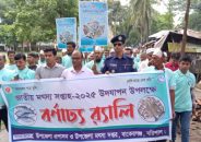 বাকেরগঞ্জে জাতীয় মৎস্য সপ্তাহ উপলক্ষে র‌্যালি ও আলোচনা সভা
