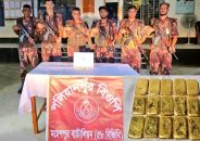 মহেশপুর সীমান্ত থেকে আড়াই কোটি টাকার স্বর্ণ উদ্ধার