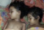 মেহেন্দিগঞ্জে পুকুরে ডুবে দুই বোনের মৃত্যু