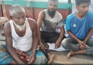 দুমকিতে প্রজনন মৌসুমে ইলিশ শিকার: দুই জেলের দুই মাসের কারাদণ্ড