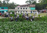 দুমকিতে জিয়াউর রহমানের হাতে খনন করা খাল পরিস্কার করলো যুবদলের নেতাকর্মীরা