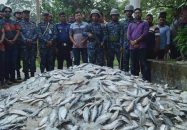 বরগুনায় থানা থেকে জব্দকৃত জাটকা ইলিশ লুট
