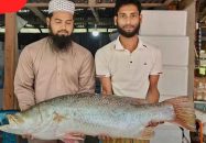 এক কোরাল ২৫ হাজার ৬৫০ টাকায় বিক্রি