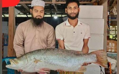 এক কোরাল ২৫ হাজার ৬৫০ টাকায় বিক্রি