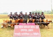 পানছড়ি সীমান্তে ১১টি ভারতীয় গরুসহ আটক-১